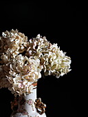 Dried flowers in china vase Southend-on-sea Essex England UK