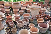 Assorted terracotta flower pots with fallen leaves, Majorca, Spain