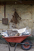 Fabrics in wheelbarrow with gardening spade and dried flowers, St Lawrence, Isle of Wight, UK