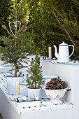 Christmas trees in white tin kitchenware, Isle of Wight home, UK