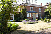 Lavender in front garden of detached brick Wiltshire home, England, UK