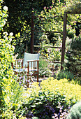 Garden chair on patio amongst garden foliage and flowers