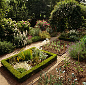 Vegetable garden with box hedging viewed from above