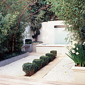 White courtyard garden with box hedge and white gravel