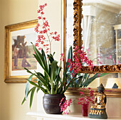 Hübsche rosafarbene Orchideen auf einem Kaminsims mit verziertem vergoldetem Spiegel und Buddha