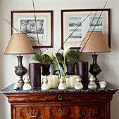 Marble topped antique cupboard with ornate table lamps and rows of hyacinths bulbs and Arum lilies