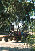 Traktor auf einem Bauernhof