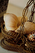 Large shells in basket