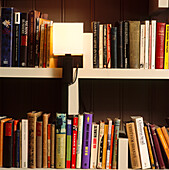 Book shelves with modern clip on light