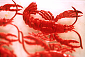 Nahaufnahme von rotem, silbrig geprägtem Garnelenschmuck aus Papier