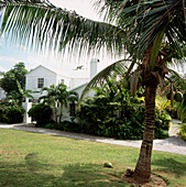 Exterior of traditional wooden home with palm trees Bahamas