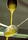 Kaltpressen von Oliven für Olivenöl Toskana Italien
