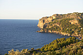 Szenen von Mallorca - Klippen am Mittelmeer