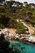 Szenen von Menorca - Erhöhter Blick auf einen Fluss im Wald
