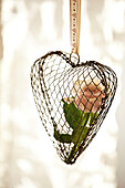 Single stem rose in a metal heart