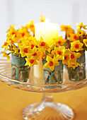 Tischdekoration mit Narzissen und Kerze auf gläsernem Tortenständer