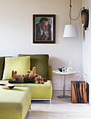 Dog lying on lime green sofa with cushions and artwork in contemporary London home, England, UK