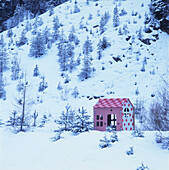 Festive play house decorated with fabrics and wallpaper in snowy mountains