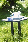 Wooden picnic table with blue and white picnic ware in overgrown garden