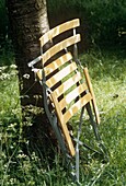 Folding chair leaning against tree trunk