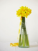 Daffodils in a glass vase with yellow ribbon