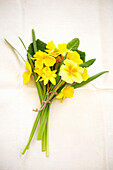Hand tied spring flower bouquet with daffodils and primula