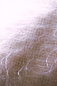 Fine woollen weave in neutral colours