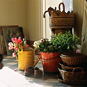 Gardening objects and cut flowers in bucket and watering can