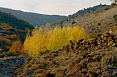 Rocky autumnal landscape in Alhama Valley in Andalucia
