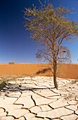 Landscape in Namib desert