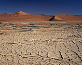 The sand dunes near Sossusvlei in the Namib-Nakluft Park