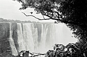 The Victoria Falls or Mosi-oa-Tunya in Zimbabwe