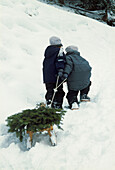 Two children pulling wooden sledge with Christmas trees