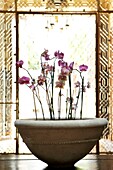 Large Planter with Orchids against an oriental window screen