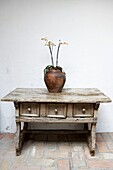 Old and distressed wooden table with Potted Orchid