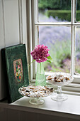 Einstielige Blume mit Knöpfen und altem Buch auf der Fensterbank eines Hauses in Kent England UK