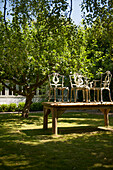 Vintage wooden chairs on wooden table with fruit tree in sunlit garden of Kent home  England  uk