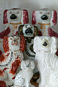 China dog collection in Dorset home  Kent  UK