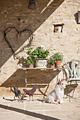 Rustikales Herz über Tisch mit Hund und Zimmerpflanzen vor Dordogne-Ferienhaus Perigueux Frankreich