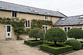 Clipped trees on parterre on gravel courtyard of Oxfordshire barn conversion  England  UK