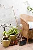 Wicker armchair and broom with potted plants in Castro Marim courtyard, Portugal