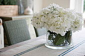 White bougainvillea on dining table in Amberley home, West Sussex, England, UK