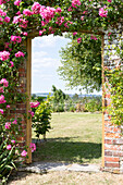 Pink climbing roses above gateway from walled garden in Petworth West Sussex Kent