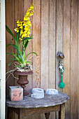 Gelbe Pflanze auf Tisch mit Schlüssel in Holztür West Wittering West Sussex England