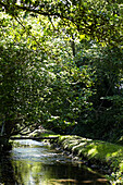 Fußweg über einen Fluss im Schatten von Bäumen in ländlicher Umgebung in Großbritannien