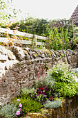 Raised bed and stone wall with fence in Berwick Upon Tweed garden  Northumberland  UK