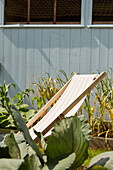 Deck chair in vegetable garden  East Riding of Yorkshire  England  UK