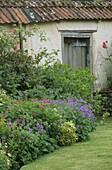 Flower border in country garden with garden shed