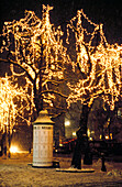 Mit Weihnachtsbeleuchtung geschmückte Bäume im Schnee