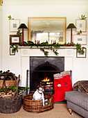 Open log fire with dog sitting basket and mantlepiece decorated with branches of bay and christmas stockings
